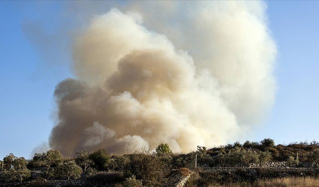 Lübnan'da İşgalci İsrail'in yasaklı fosfor bombası saldırılarıyla 60 bin zeytin ağacı yandı