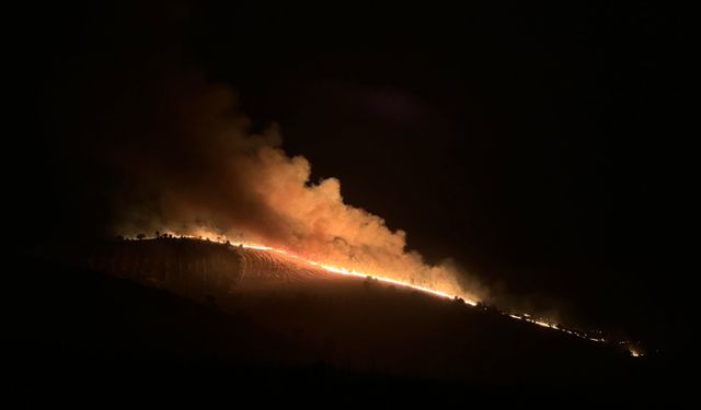 Diyarbakır ve Mardin arasında çıkan yangında 3 vatandaş hayatını kaybetti