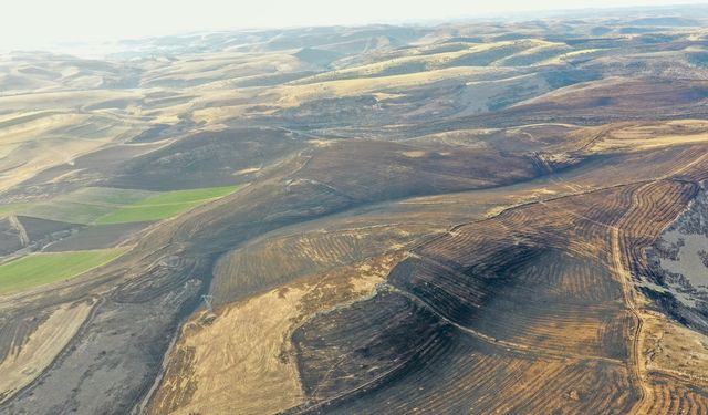 Diyarbakır ve Mardin'deki yangınlarda can kaybı 12'ye yükseldi