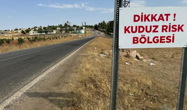 Niğde'de kuduz karantinası başlatıldı