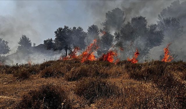 Siyonist İsrail Lübnan'da bilinçli olarak ormanlara saldırıyor