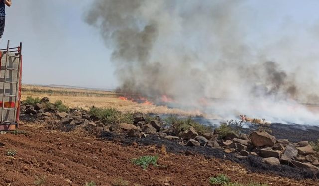 Şırnak'ta anız yangını: 100 dönüm alan zarar gördü