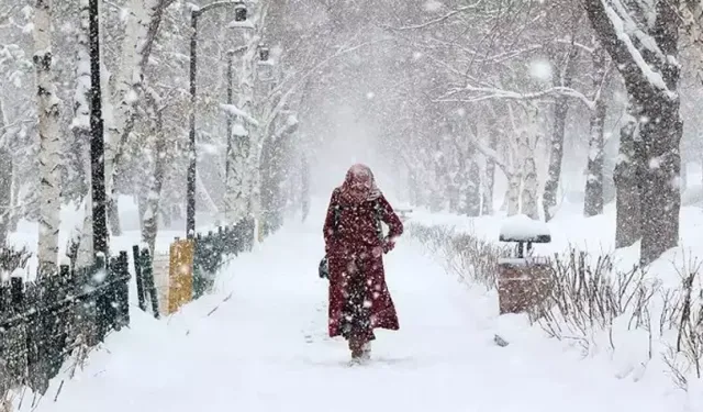 Meteorolojiden 3 il için "sarı kodlu" kar yağışı uyarısı